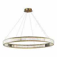 Люстра подвесная ЛЕД Тиволи (Tivoli) SL1622.313.01 ST-Luce прозрачная на 1 лампу, основание латунь в стиле современный кольца Люстра подвесная ЛЕД Тиволи (Tivoli) SL1622.313.01 ST-Luce прозрачная на 1 лампу, основание латунь в стиле современный кольца